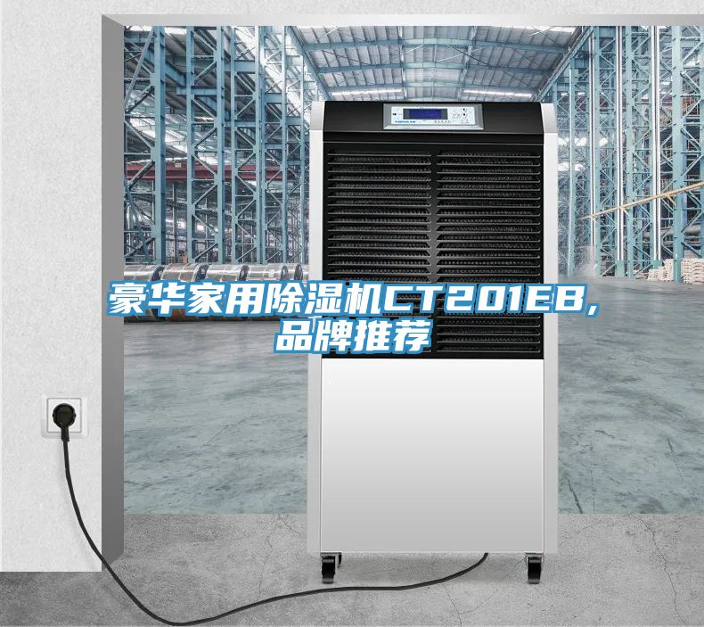 豪華家用草莓污视频在线看CT201EB,品牌推薦