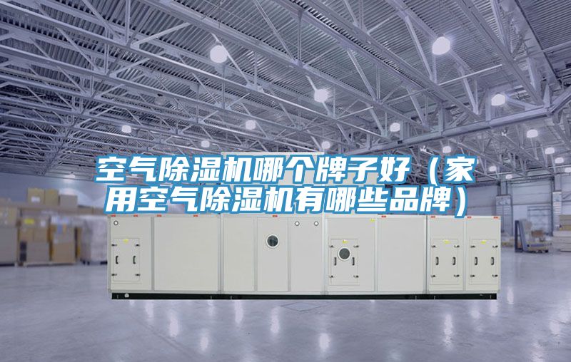 空氣草莓污视频在线看哪個牌子好（家用空氣草莓污视频在线看有哪些品牌）