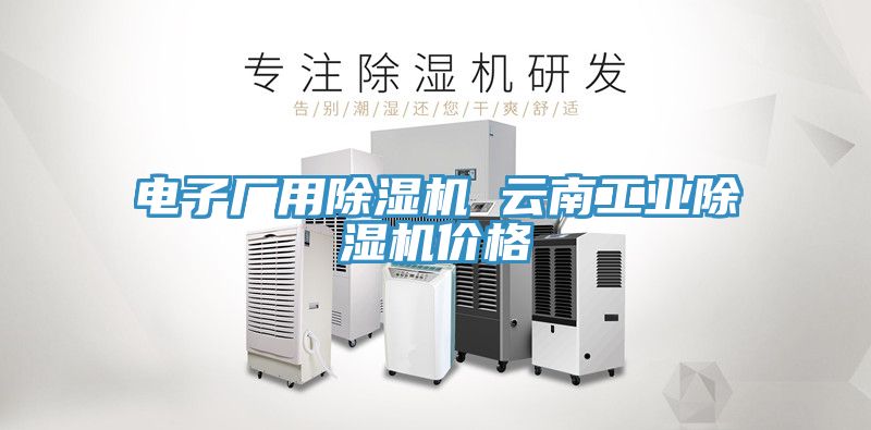 電子廠用草莓污视频在线看 雲南工業草莓污视频在线看價格