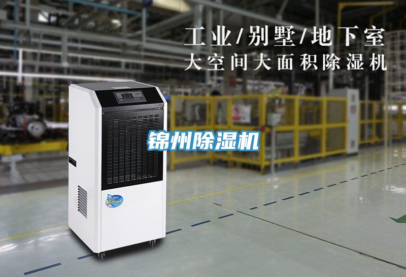 錦州草莓污视频在线看