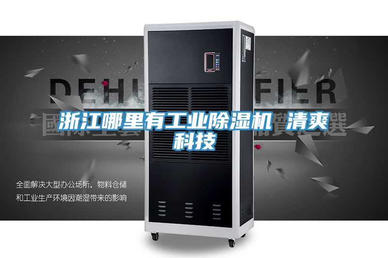 浙江哪裏有工業草莓污视频在线看 清爽科技