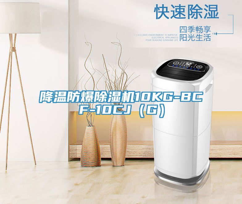降溫防爆草莓污视频在线看10KG-BCF-10CJ（G）