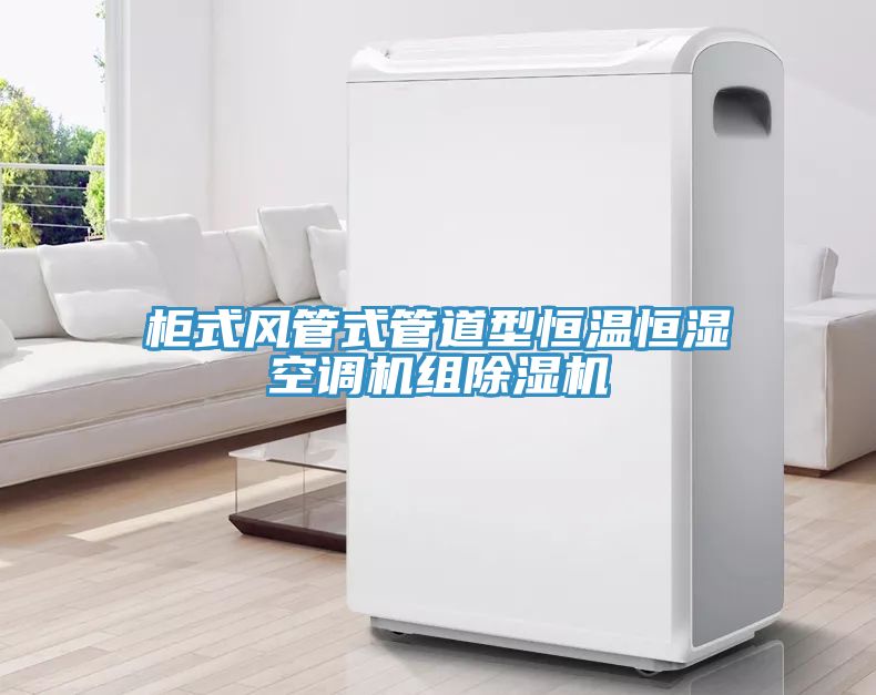 櫃式風管式管道型恒溫恒濕空調機組草莓污视频在线看