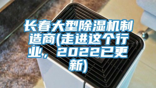 長春大型草莓污视频在线看製造商(走進這個行業，2022已更新)