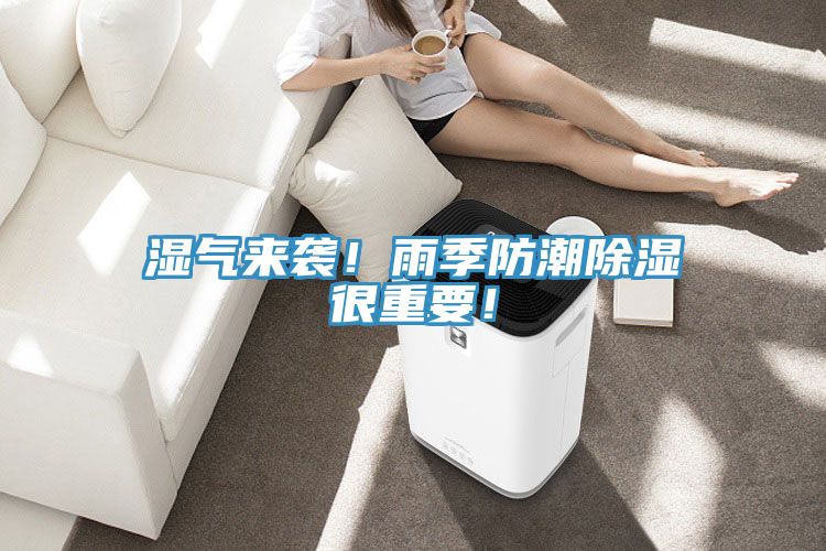 濕氣來襲！雨季防潮除濕很重要！