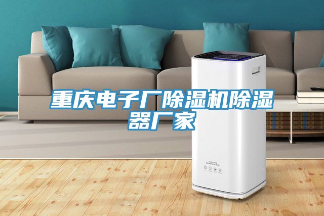 重慶電子廠草莓污视频在线看除濕器廠家
