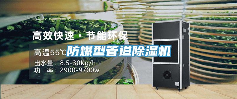 防爆型管道草莓污视频在线看