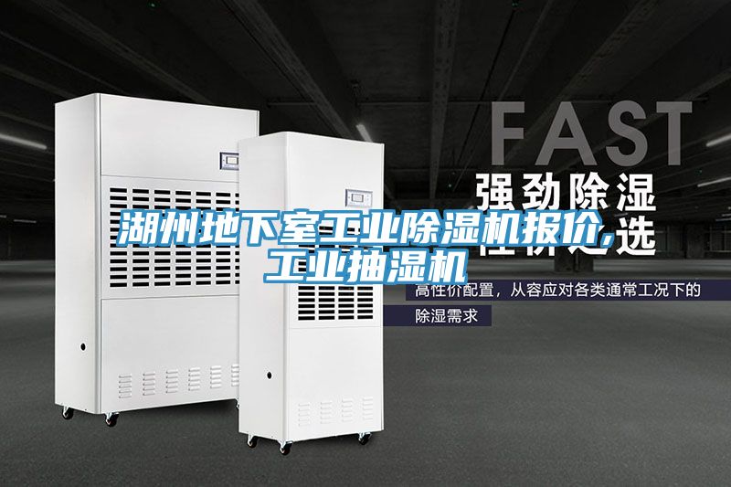 湖州地下室工業草莓污视频在线看報價,工業抽濕機