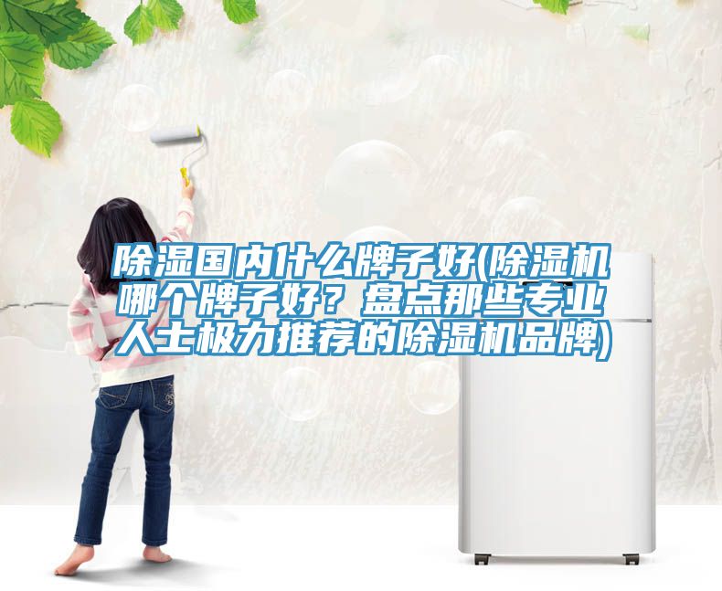 除濕國內什麽牌子好(草莓污视频在线看哪個牌子好？盤點那些專業人士極力推薦的草莓污视频在线看品牌)