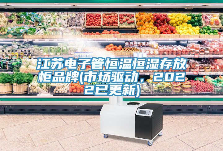 江蘇電子管恒溫恒濕存放櫃品牌(市場驅動，2022已更新)