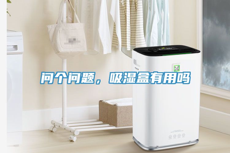 問個問題，吸濕盒有用嗎