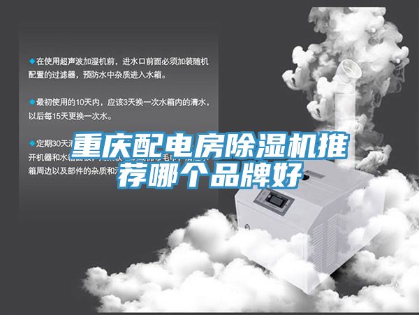 重慶配電房草莓污视频在线看推薦哪個品牌好