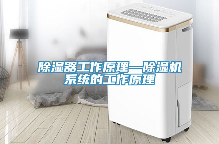 除濕器工作原理—草莓污视频在线看係統的工作原理