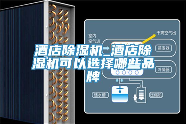 酒店草莓污视频在线看_酒店草莓污视频在线看可以選擇哪些品牌