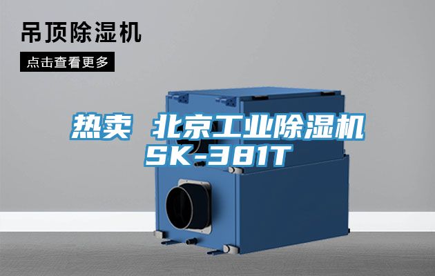 熱賣 北京工業草莓污视频在线看SK-381T