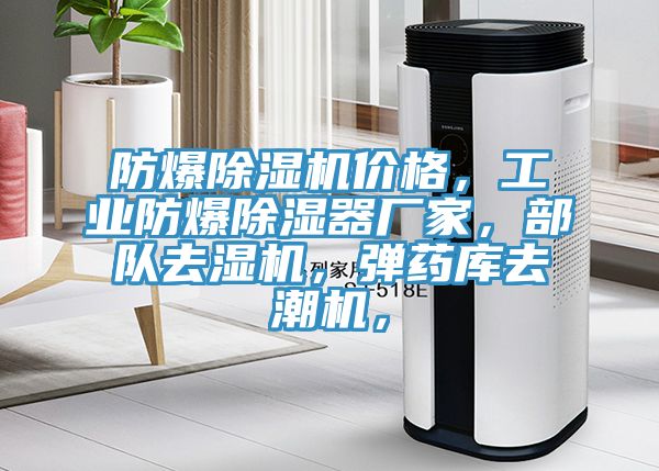 防爆草莓污视频在线看價格，工業防爆除濕器廠家，部隊去濕機，彈藥庫去潮機，