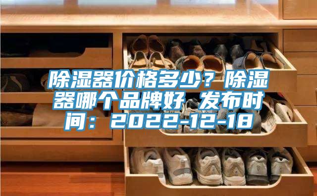 除濕器價格多少？除濕器哪個品牌好 發布時間：2022-12-18