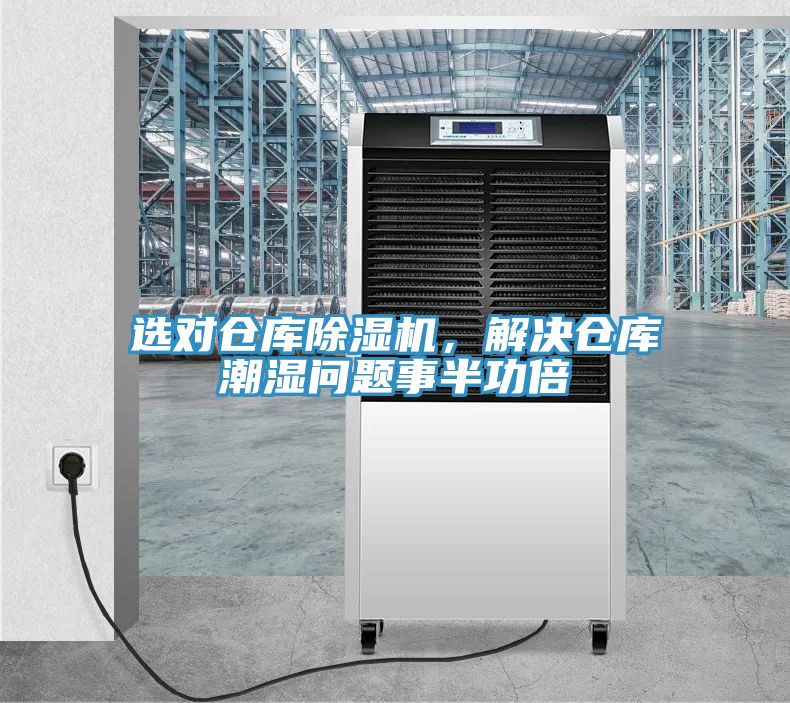 選對倉庫草莓污视频在线看，解決倉庫潮濕問題事半功倍