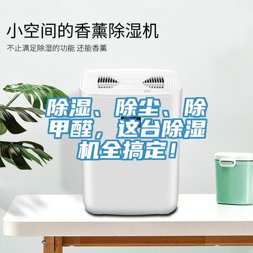 除濕、除塵、除甲醛，這台草莓污视频在线看全搞定！