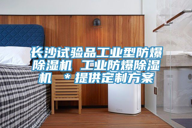 長沙試驗品工業型防爆草莓污视频在线看 工業防爆草莓污视频在线看 ＊提供定製方案