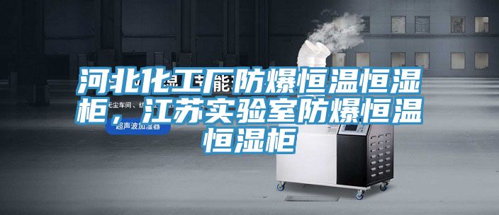 河北化工廠防爆恒溫恒濕櫃，江蘇實驗室防爆恒溫恒濕櫃