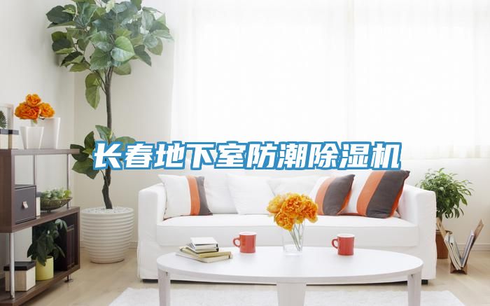 長春地下室防潮草莓污视频在线看