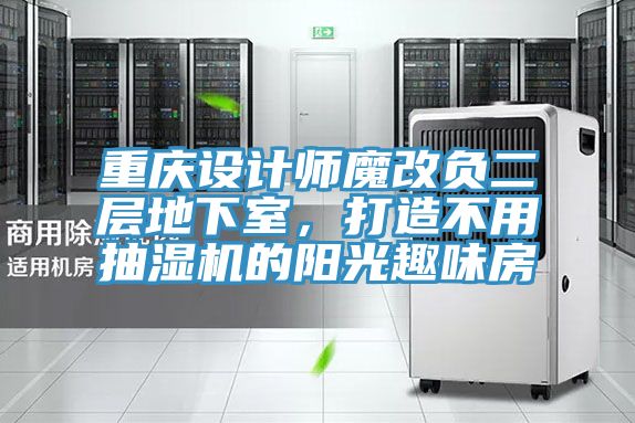 重慶設計師魔改負二層地下室，打造不用抽濕機的陽光趣味房