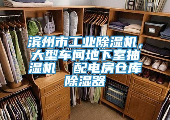 濱州市工業草莓污视频在线看，大型車間地下室抽濕機  配電房倉庫除濕器