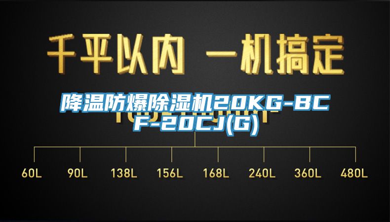 降溫防爆草莓污视频在线看20KG-BCF-20CJ(G)