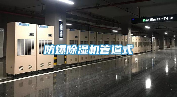 防爆草莓污视频在线看管道式