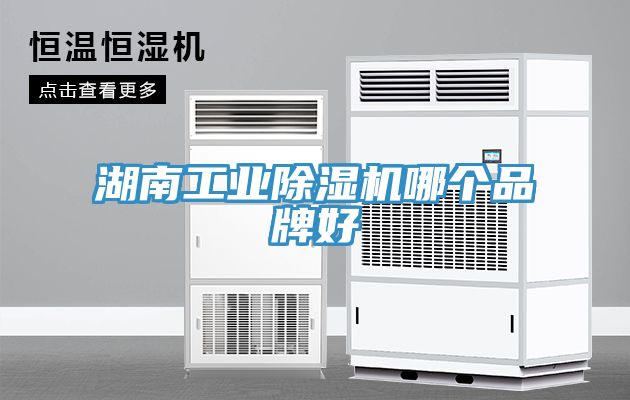 湖南工業草莓污视频在线看哪個品牌好