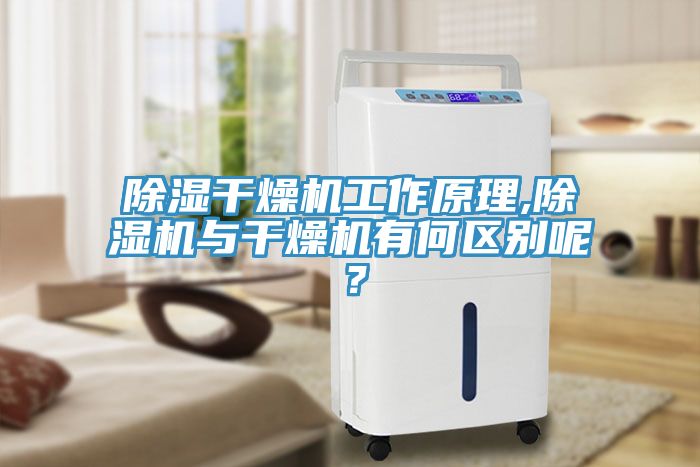 除濕幹燥機工作原理,草莓污视频在线看與幹燥機有何區別呢？