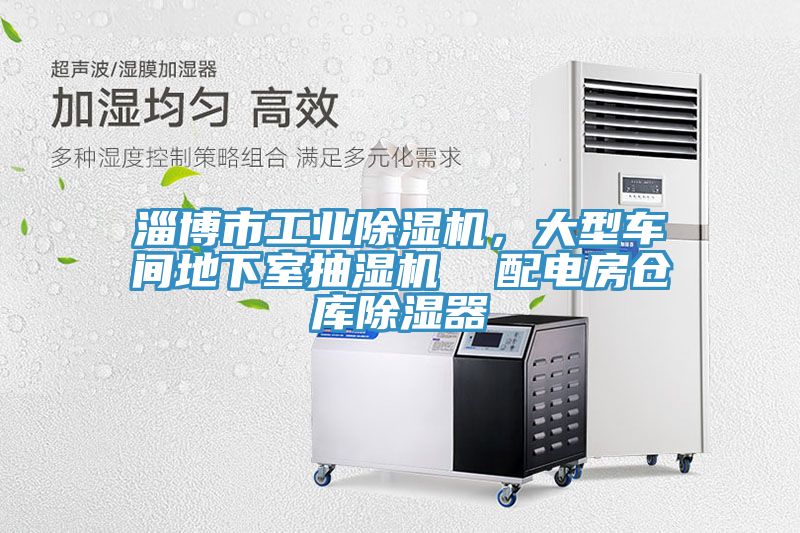 淄博市工業草莓污视频在线看，大型車間地下室抽濕機  配電房倉庫除濕器