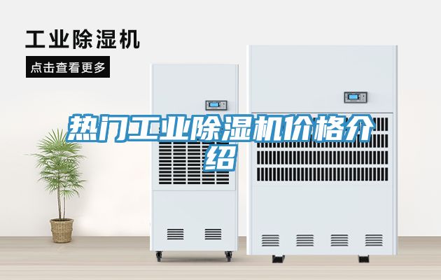 熱門工業草莓污视频在线看價格介紹