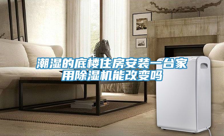 潮濕的底樓住房安裝一台家用草莓污视频在线看能改變嗎