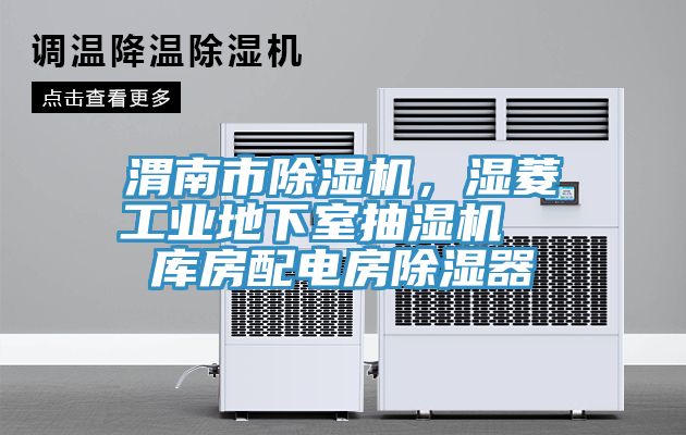 渭南市草莓污视频在线看，濕菱工業地下室抽濕機  庫房配電房除濕器