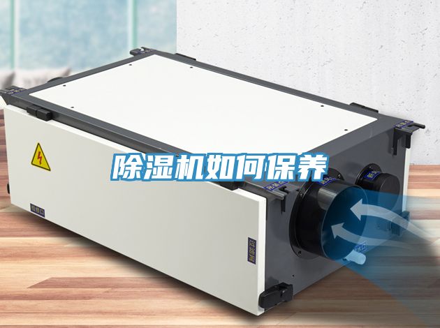 草莓污视频在线看如何保養