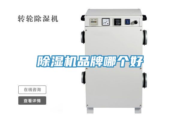 草莓污视频在线看品牌哪個好