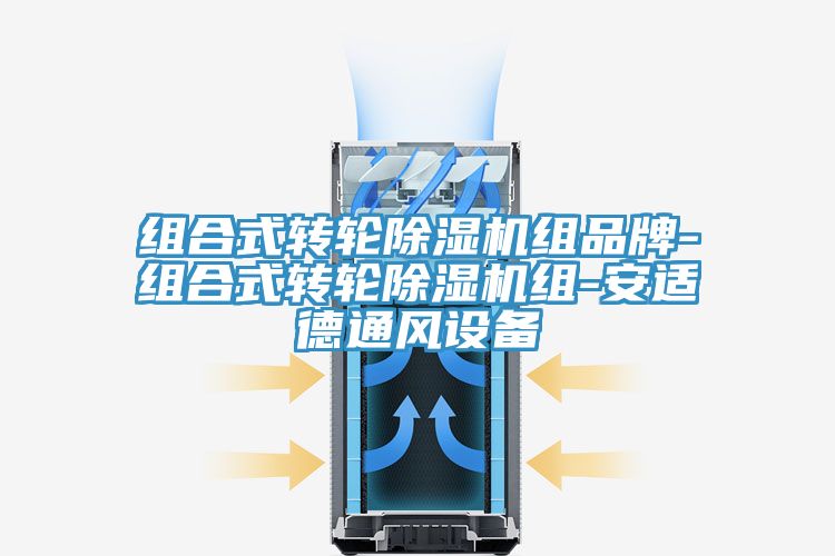 組合式轉輪草莓污视频在线看組品牌-組合式轉輪草莓污视频在线看組-安適德通風設備
