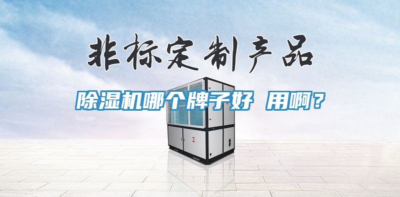 草莓污视频在线看哪個牌子好 用啊？