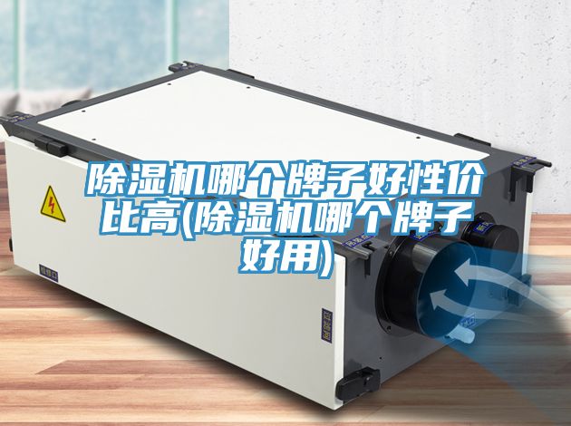 草莓污视频在线看哪個牌子好性價比高(草莓污视频在线看哪個牌子好用)