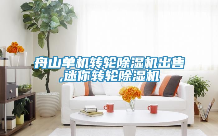 舟山單機轉輪草莓污视频在线看出售,迷你轉輪草莓污视频在线看