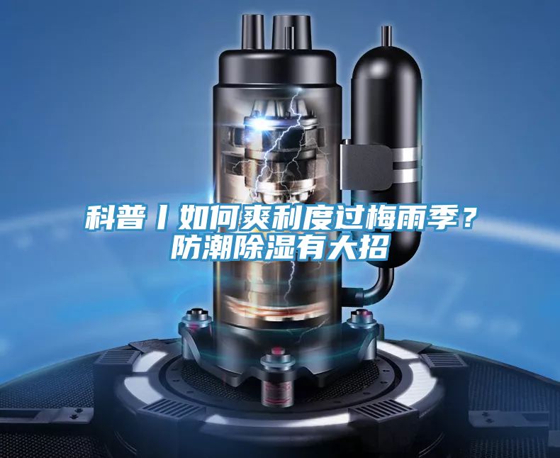 科普丨如何爽利度過梅雨季？防潮除濕有大招