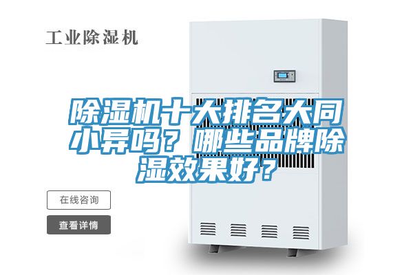 草莓污视频在线看十大排名大同小異嗎？哪些品牌除濕效果好？