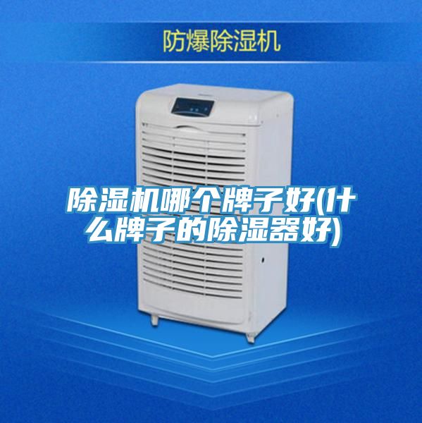 草莓污视频在线看哪個牌子好(什麽牌子的除濕器好)