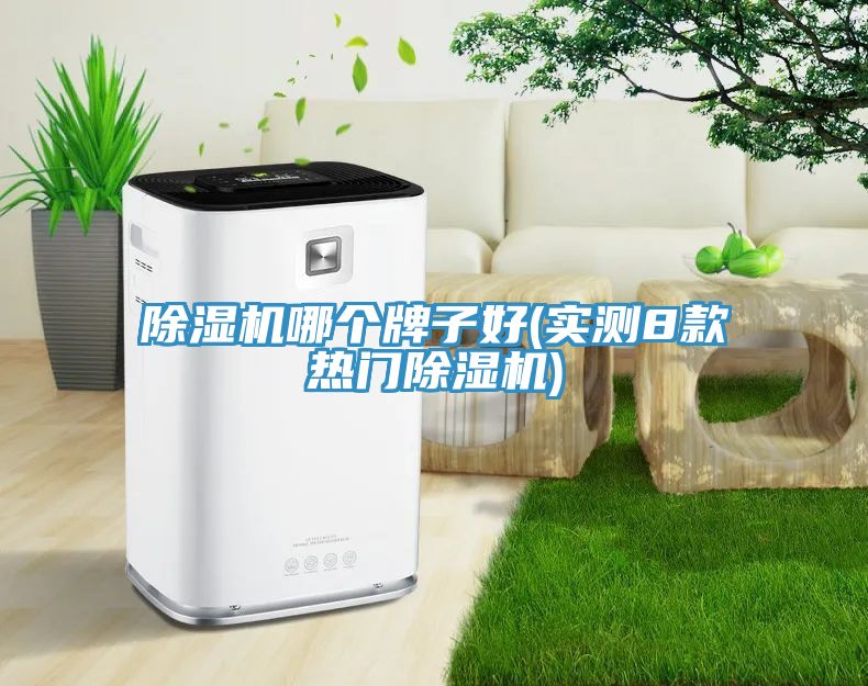 草莓污视频在线看哪個牌子好(實測8款熱門草莓污视频在线看)