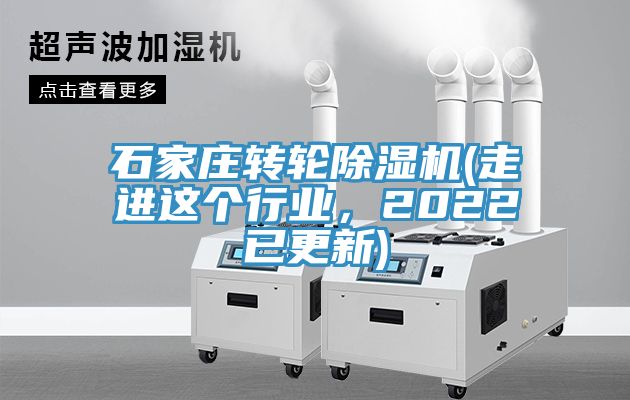 石家莊轉輪草莓污视频在线看(走進這個行業，2022已更新)