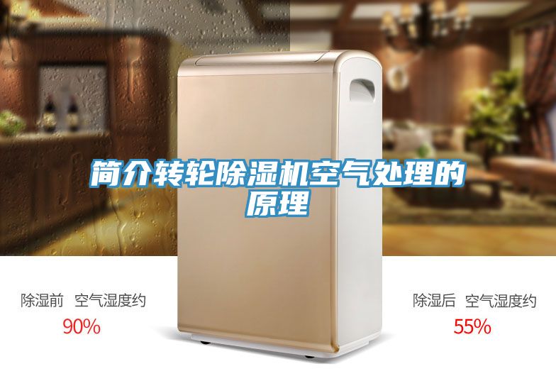 簡介轉輪草莓污视频在线看空氣處理的原理
