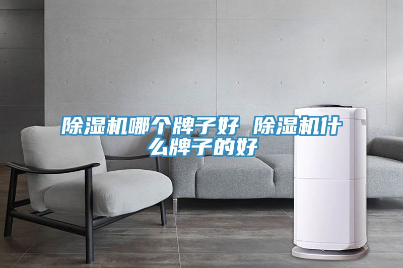 草莓污视频在线看哪個牌子好 草莓污视频在线看什麽牌子的好