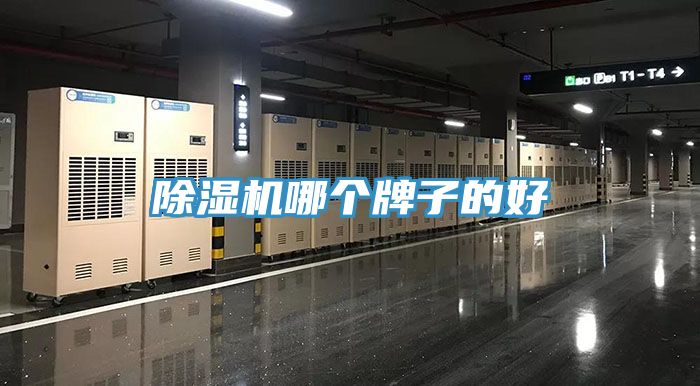 草莓污视频在线看哪個牌子的好